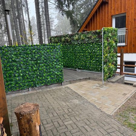 Lipno Club Villa Frymburk Ngoại thất bức ảnh
